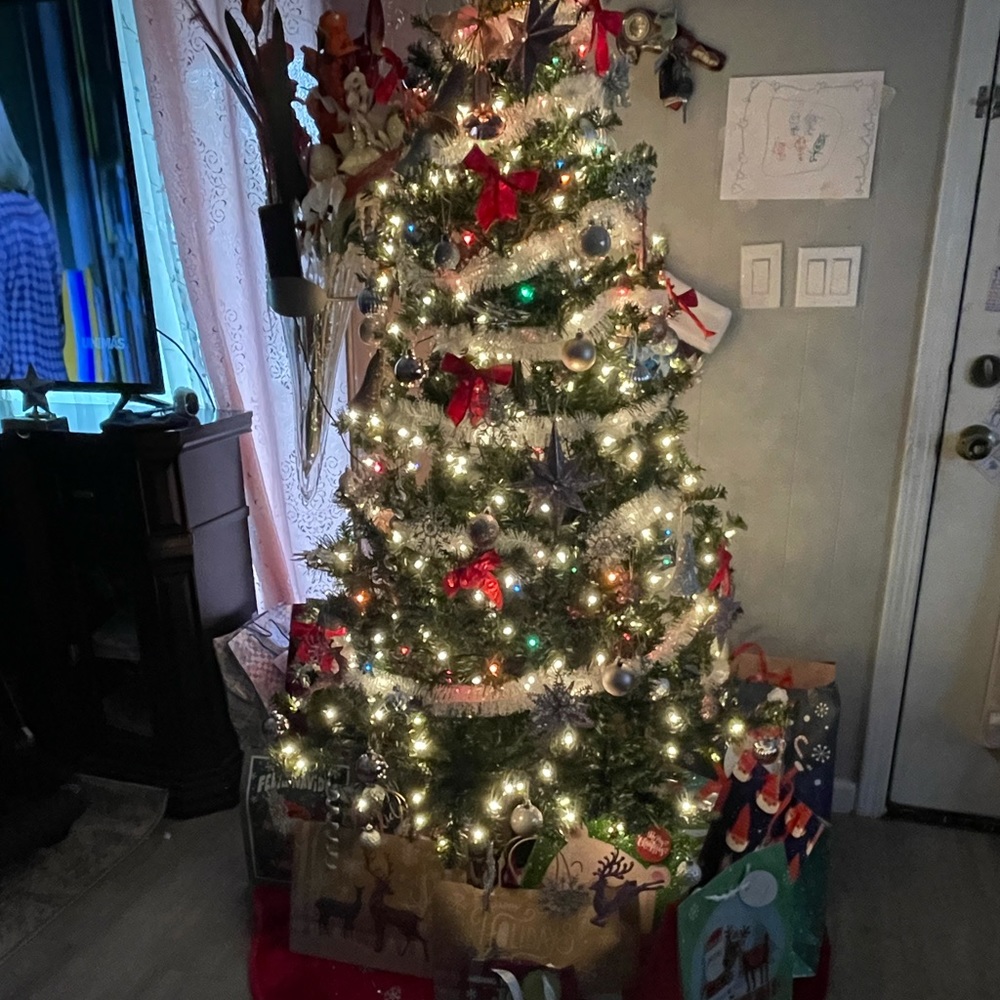 Meet your Posher, Lilian